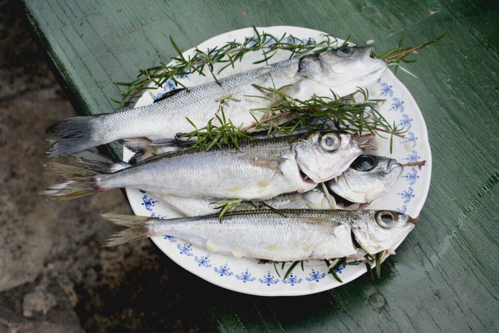 15º Festival da Sardinha em Cascavel: Cultura e Gastronomia em Destaque