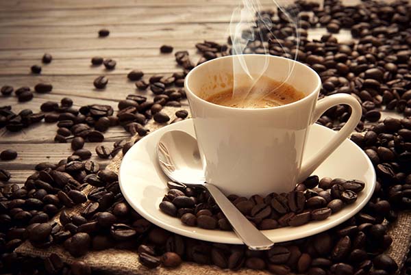 Melhores Livros sobre Café para comprar em 2023 Melhores Livros sobre Café para comprar em 2023