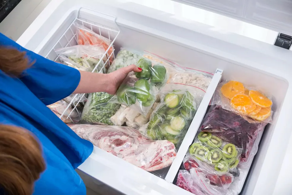 Top 10 Melhores Freezer Horizontal 1 porta para comprar em 2023 Top 10 Melhores Freezer Horizontal 1 porta para comprar em 2023