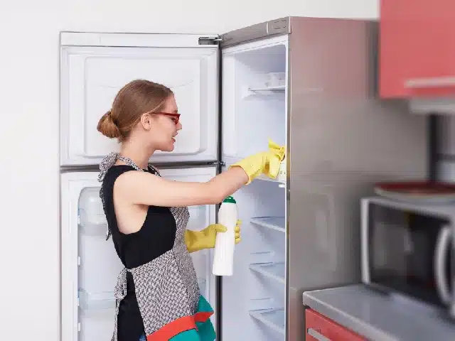 Freezer: 10 modelos Freezer: 10 modelos